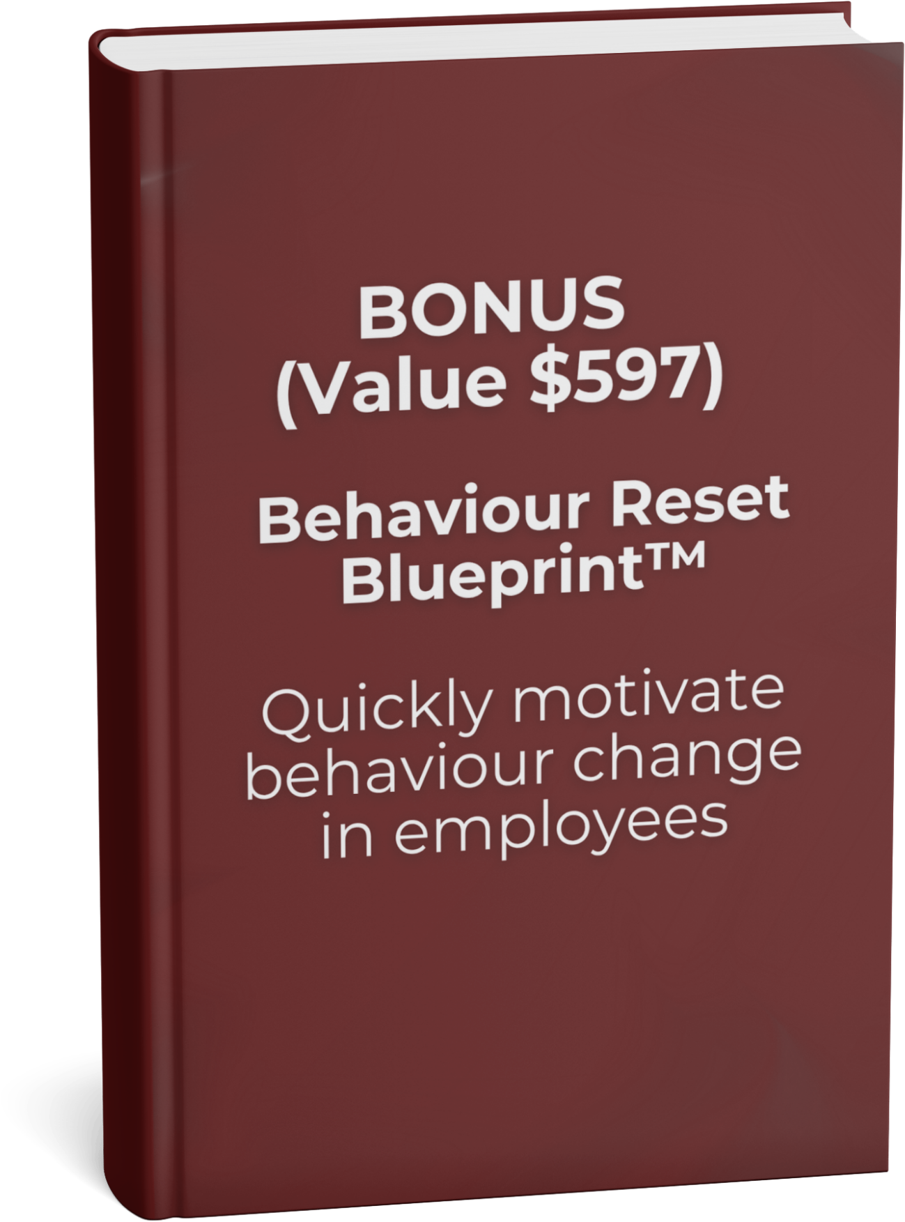 Behaviour Reset Blueprint